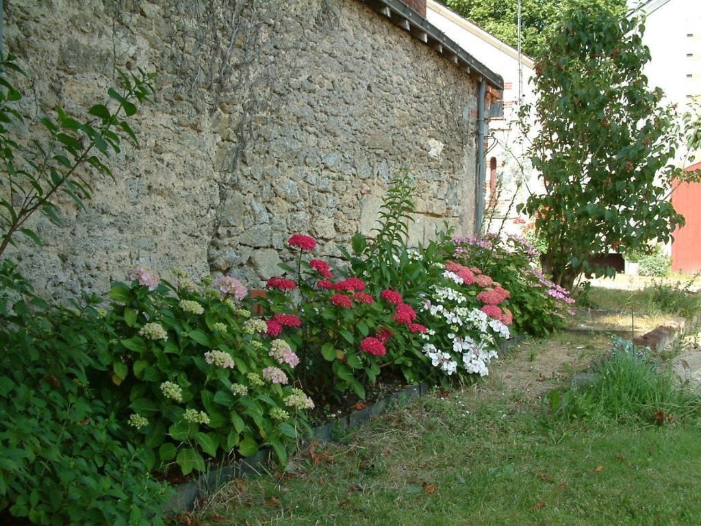 Chateau Du Beugnon Bed and Breakfast Tigné Buitenkant foto